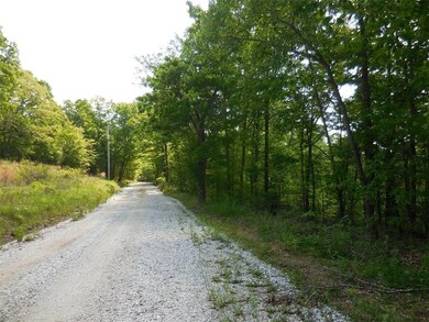 16859 Wyola Rd, Winslow, AR 72959 - photo 3