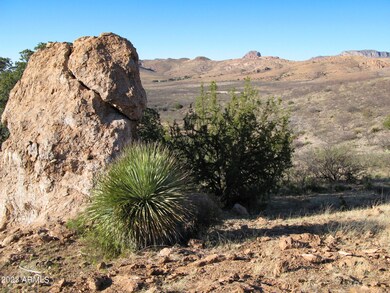 Lot 40 N Hidden Oaks Trail 38 7 Acres -- unit 40, Douglas, AZ 85607 - photo 4