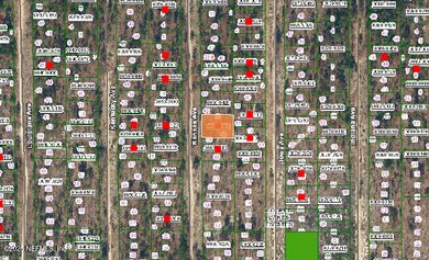 224 Kansas Ave, Hawthorne, FL 32640 - photo 2