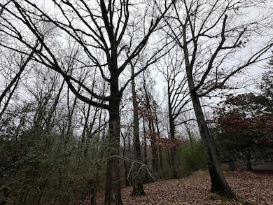 988 Rd 821, Saltillo, MS 38866 - photo 3