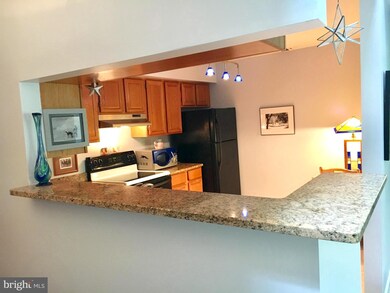 2220 Springwood Dr unit 111B / APT. L, Reston, VA 20191 - photo 6