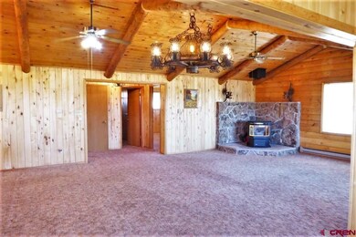 19576 Surface Creek Rd, Cedaredge, CO 81413 - photo 6