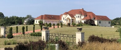 IMG_4119 2
