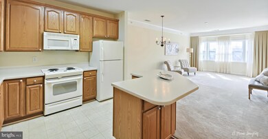 Mill Crossing unit 302, Frederick, MD 21702 - photo 7