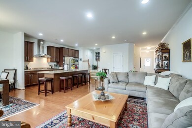 24621 Greysteel Square, Aldie, VA 20105 - photo 6