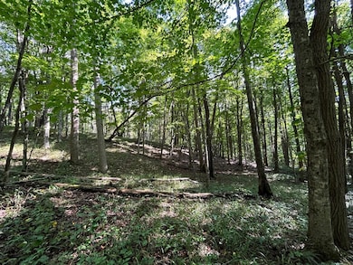 pic 9