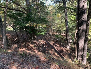 1 Balderton Ln, Bella Vista, AR 72714 - photo 3