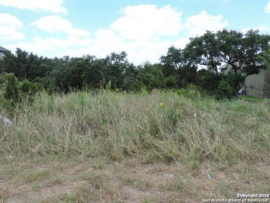 8719 Terra Mont Way, San Antonio, TX 78255 - photo 4