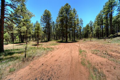 007_Lot View