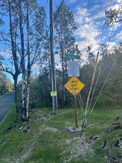 11-3432 Hibiscus St, Mountain View, HI 96771 - photo 3