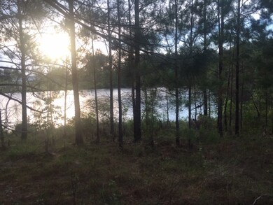 00 High Ridge Rd unit 33, Broxton, GA 31533 - photo 5