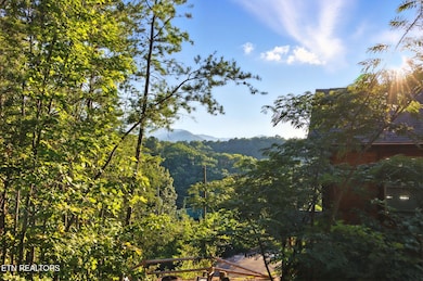 771 Ski View Ln, Pigeon Forge, TN 37876 - photo 5