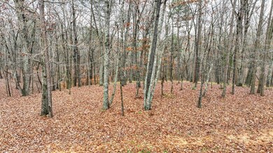 LOT 66 Preserve Blvd, Savannah, TN 38372 - photo 6