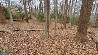 12019 Fair Hill Ln, Manassas, VA 20112 - photo 4