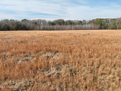 0000 Pisgah Bottom Rd, Canton, MS 39046 - photo 6