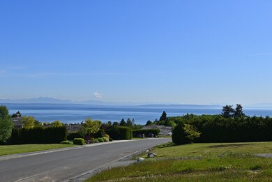 5 Whalen Dr, Point Roberts, WA 98281 - photo 5