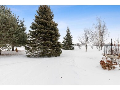 Quiet Back Yard.