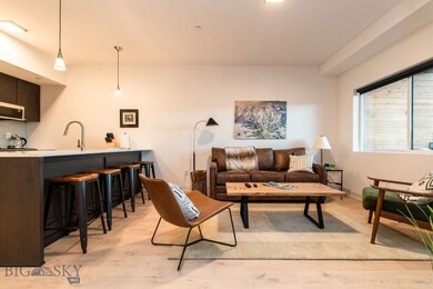 718 W Babcock St unit 409, Bozeman, MT 59715 - photo 4