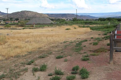 TBD E 3rd St, de Beque, CO 81630 - photo 2