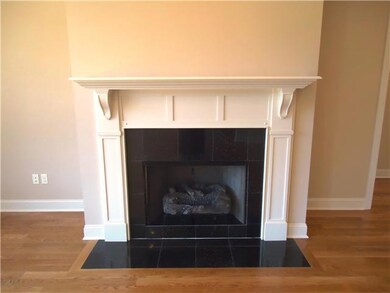 The gas log fireplace has black granite surround and a recessed light directly on it.