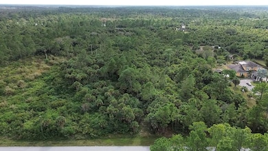 0 30th Ave SE unit 25698629, Naples, FL 34117 - photo 5