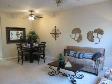    Living /Dining Room Combo