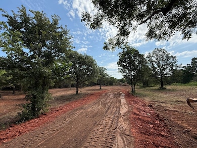 Paradise Acres Sub 015 000, Luther, OK 73054 - photo 4