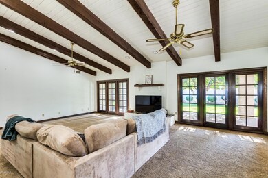 Beautiful french door & windows & firepl