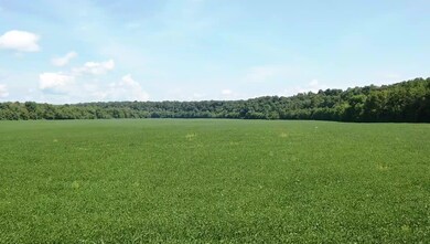 0 Slink Shoals Rd unit 2102638, Linden, TN 37096 - photo 6