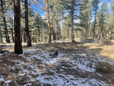 1873 N Mountain Estates Rd unit 55054116, Florissant, CO 80816 - photo 7