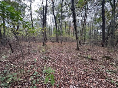 0 Sandy Plains Rd, East Bethlehem Township, PA 15322 - photo 4