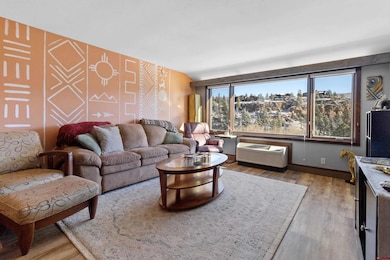 314 N Tamarron Dr unit 203, Durango, CO 81301 - photo 4