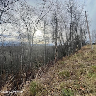 5500 W Birch Harbor Dr, Knik-Fairview, AK 99654 - photo 7