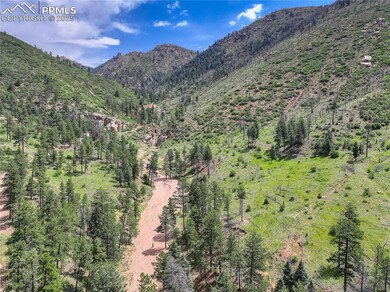 6085 Wellington Rd, Cascade, CO 80809 - photo 7