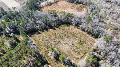 TBD Mulberry St, Conway, SC 29527 - photo 2