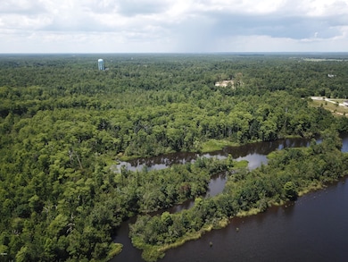 90 Acres Moragas Ln, Kiln, MS 39556 - photo 2