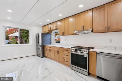 717 Ludlow St, Takoma Park, MD 20912 - photo 7