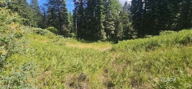 91 Wildwood Ranch Rd, Wildwood, CA 96076 - photo 3