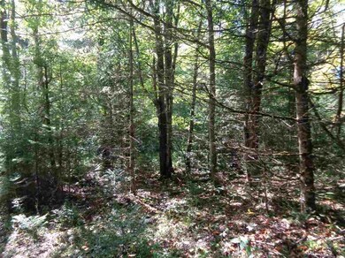 0 E Colebrook Rd, Colebrook, NH 03576 - photo 4