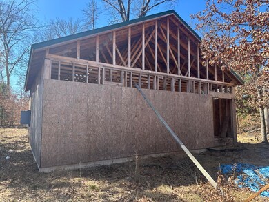 214 Albany Ave, Baldwin, MI 49304 - photo 3