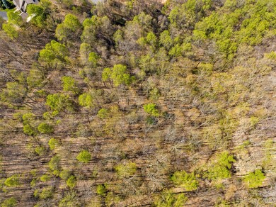 1026 Chippawa Dr unit 69, Arden, NC 28704 - photo 7