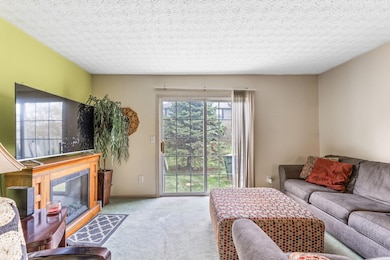 4038 Blendon Point Dr (Interior)-6