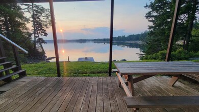Ground View from Basement