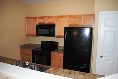 707 Aqua Marine Blvd unit 26, Avon Lake, OH 44012 - photo 5