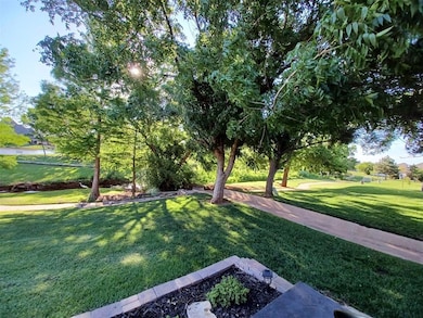 yard during summer