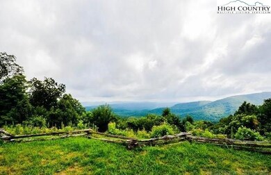 Lot 30 Inkberry Dr, Ferguson, NC 28624 - photo 3