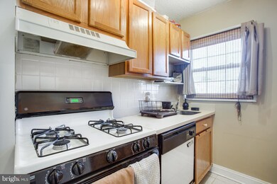 2305 Farrington Ave unit 202, Alexandria, VA 22303 - photo 6