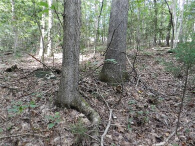 0 Burney Rd unit 811880, Asheboro, NC 27205 - photo 5