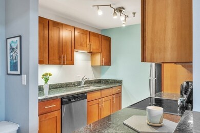 Sumner Hill Condominiums unit 106, Jamaica Plain, MA 02130 - photo 5