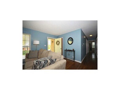 Gleaming Wood Floors